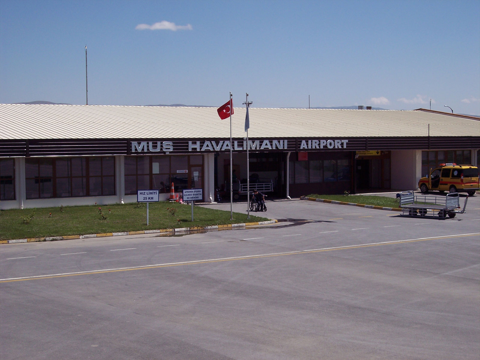 Mus